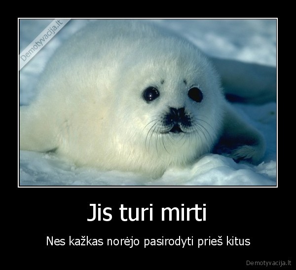 blogis, grizta, kaip, bumerangas