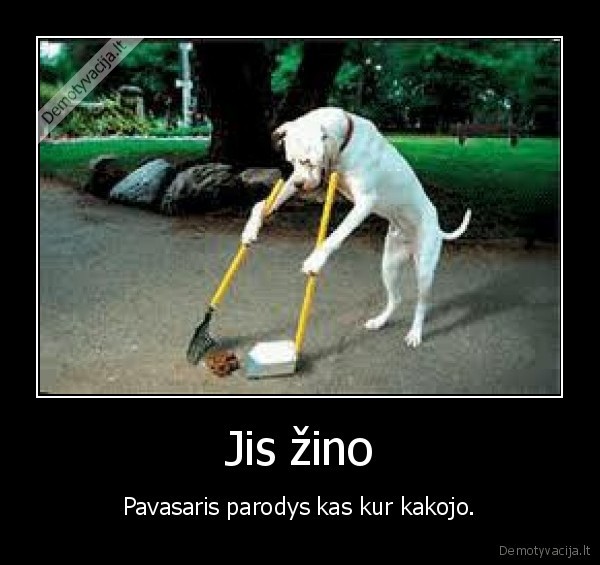 pavasaris