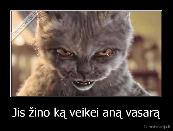 Jis žino ką veikei aną vasarą