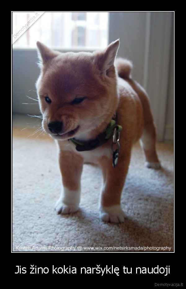 firefox