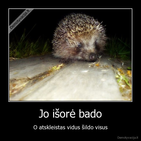 Jo išorė bado