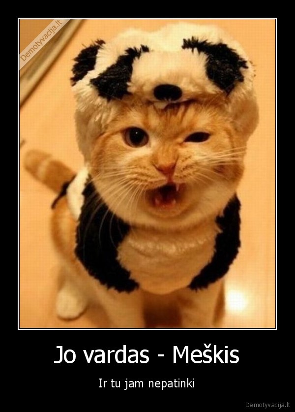 meskis,kate,pukis