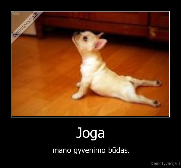 Joga