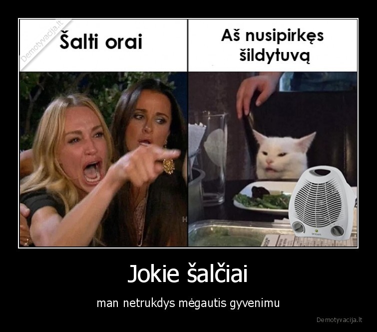 salciai,salta,sildytuvas,katinas
