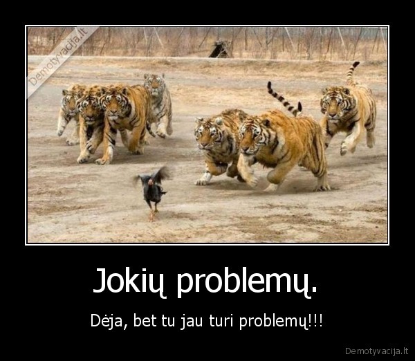 problemos,tikgrai,paukstis,begti,smelis,deja