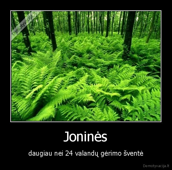 svente, alkoholis