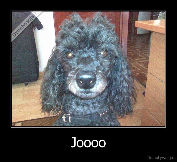 Joooo