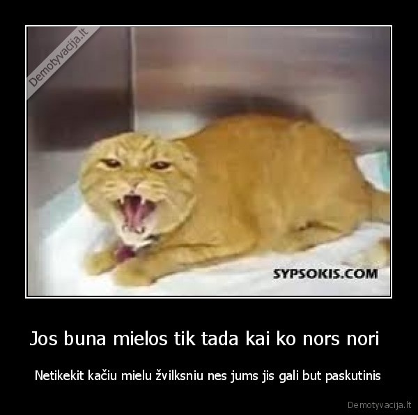 Jos buna mielos tik tada kai ko nors nori 