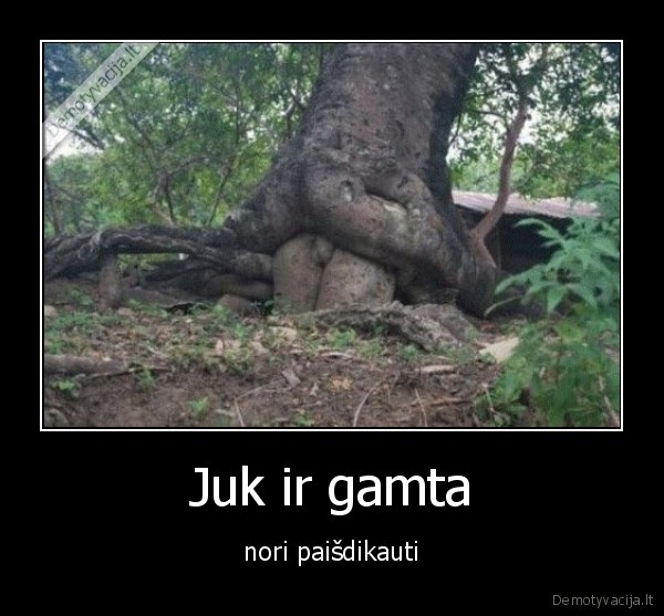 Juk ir gamta