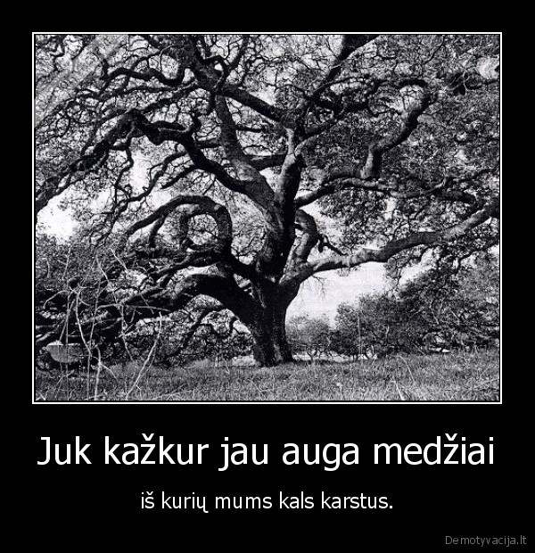 Juk kažkur jau auga medžiai