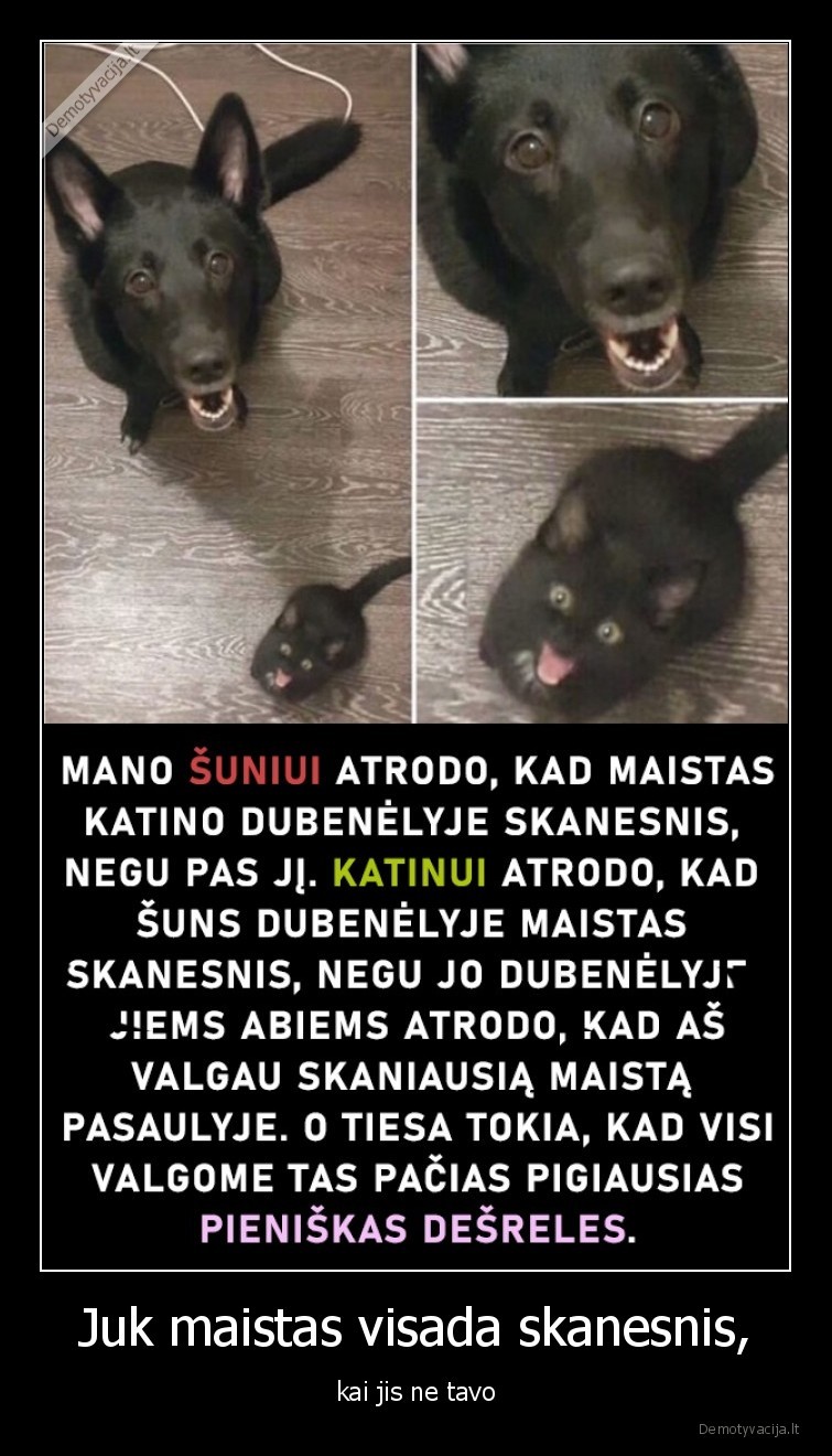 maistas,suo,katinas,desreles