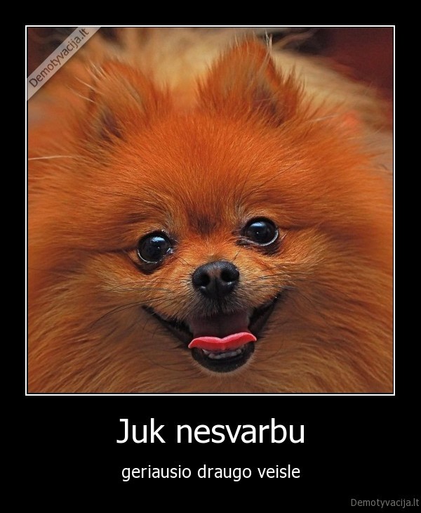 Juk nesvarbu