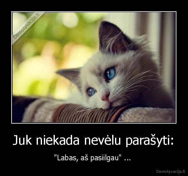 Juk niekada nevėlu parašyti: