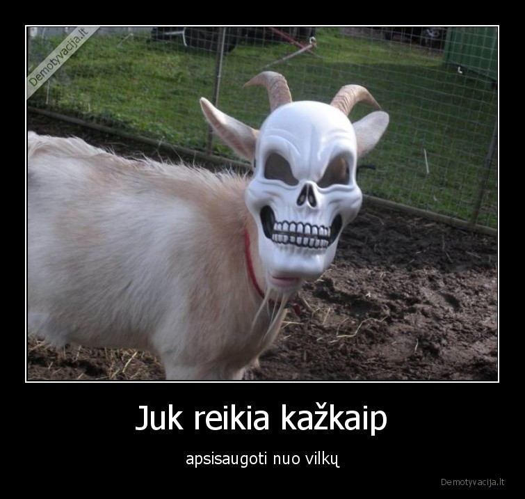 ozka,kauke,saugumas
