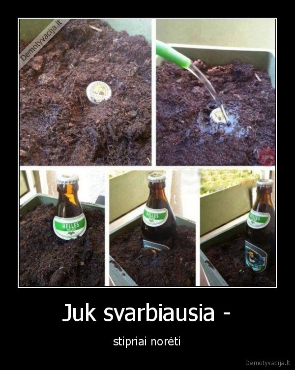 alus,auginti