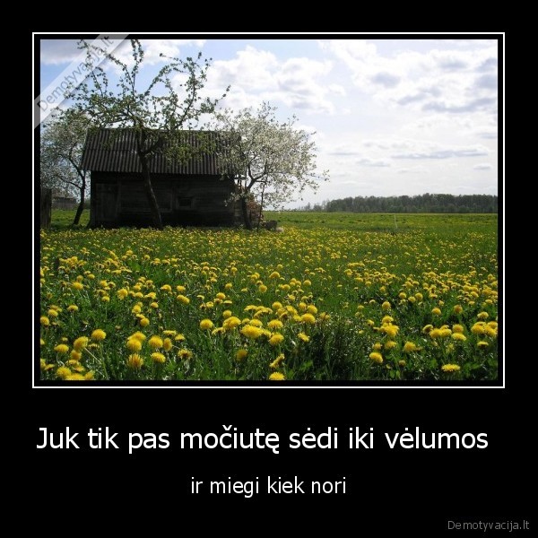mociute, namai, naktis