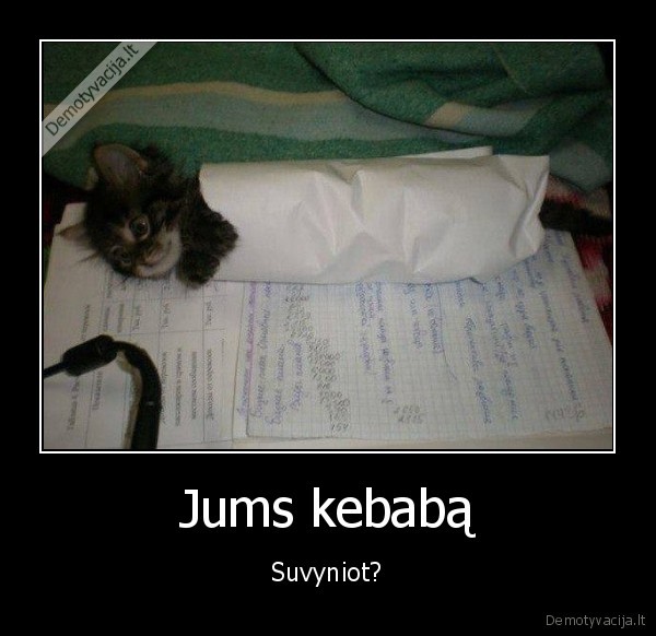 kebabas,kaciukas, popieriuje