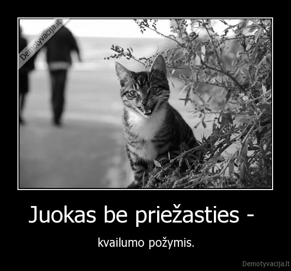 juokas