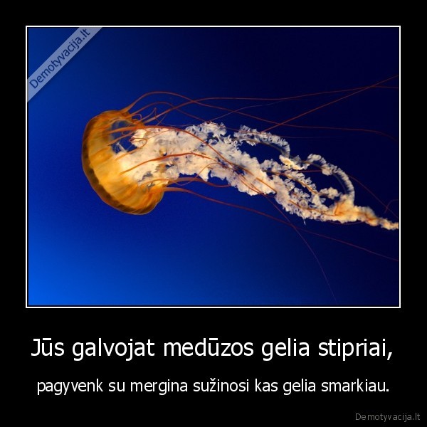 Jūs galvojat medūzos gelia stipriai,