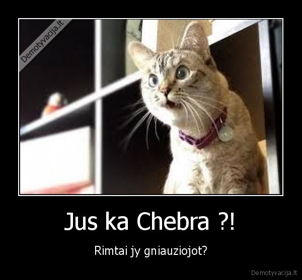 Jus ka Chebra ?!
