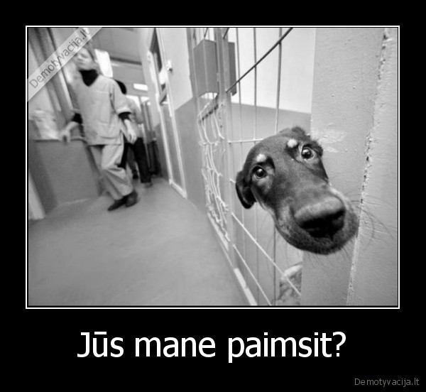 Jūs mane paimsit?