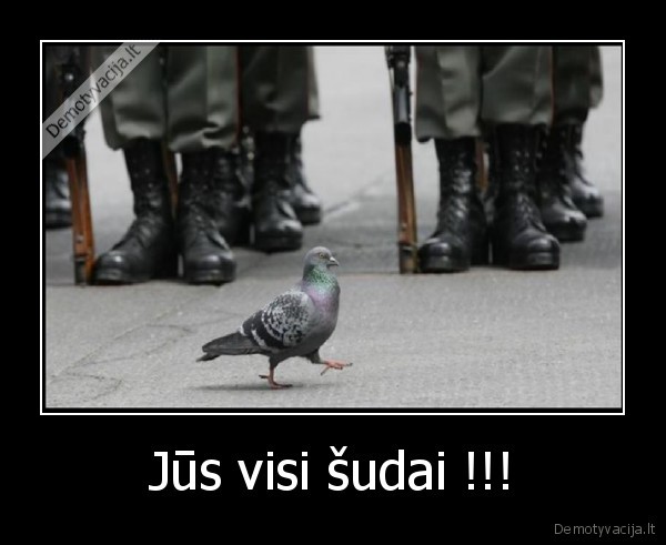 Jūs visi šudai !!!