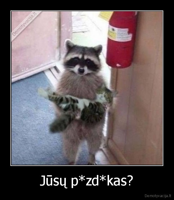 katinas,atnese