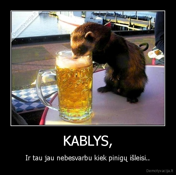 kablys,pinigai,isleisti,alus,burundukas,gerti,stalas,nesvarbu