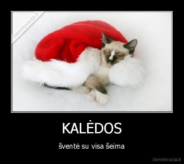 KALĖDOS