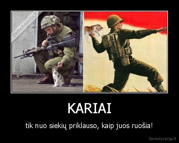 soldier, kitty