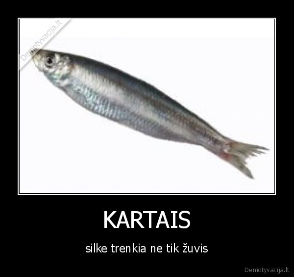 kvapas,malonus,duodis,po,gelmes