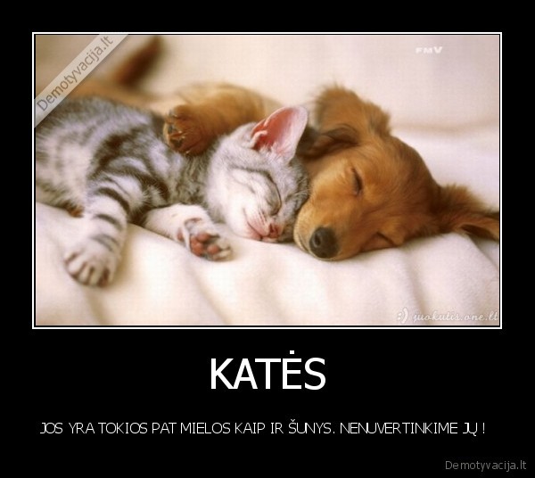 KATĖS
