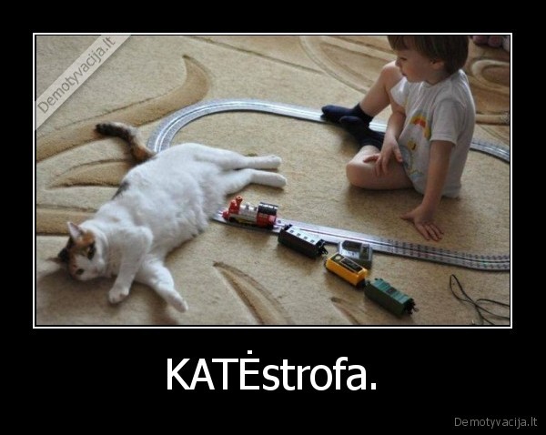 katinas,traukinukas,zaislai