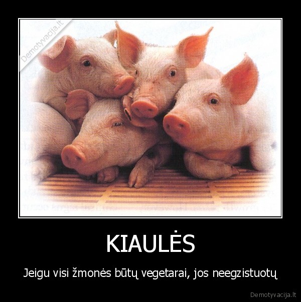 KIAULĖS