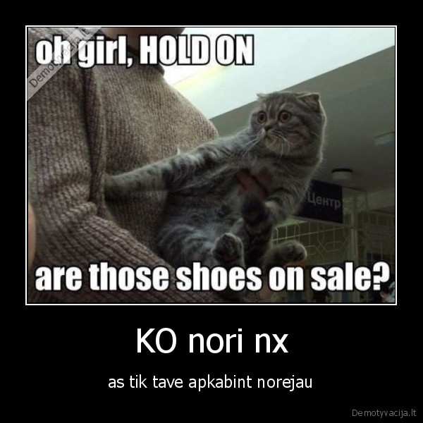 KO nori nx