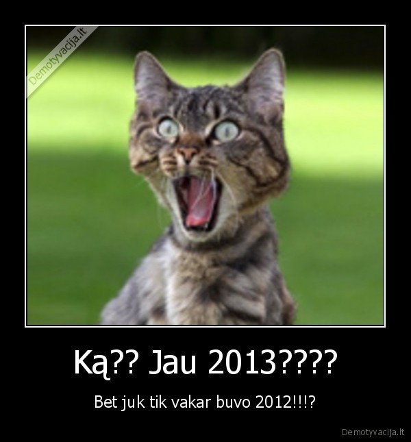 Ką?? Jau 2013????