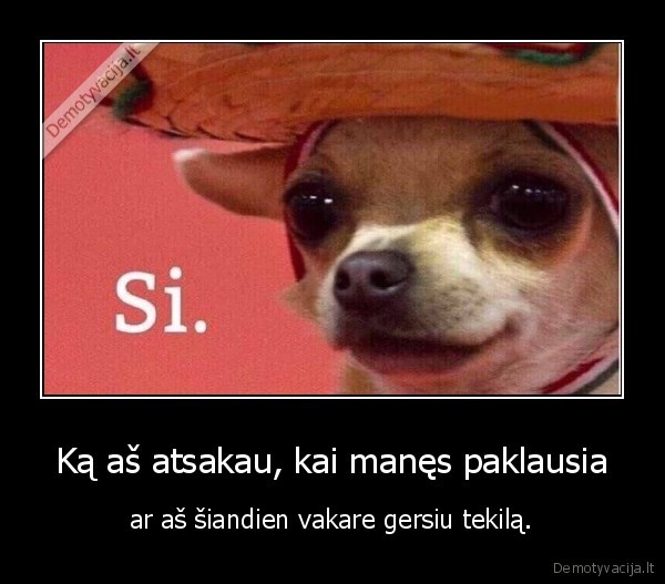 vakaras,suo,tekila