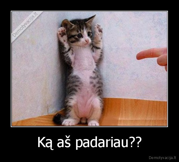 Ką aš padariau??