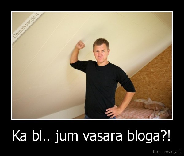 nesiskuskit