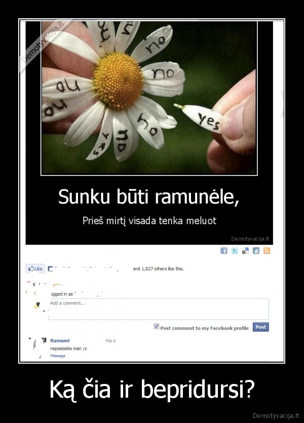 Ką čia ir bepridursi?