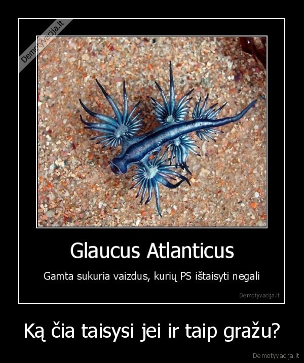 Ką čia taisysi jei ir taip gražu?