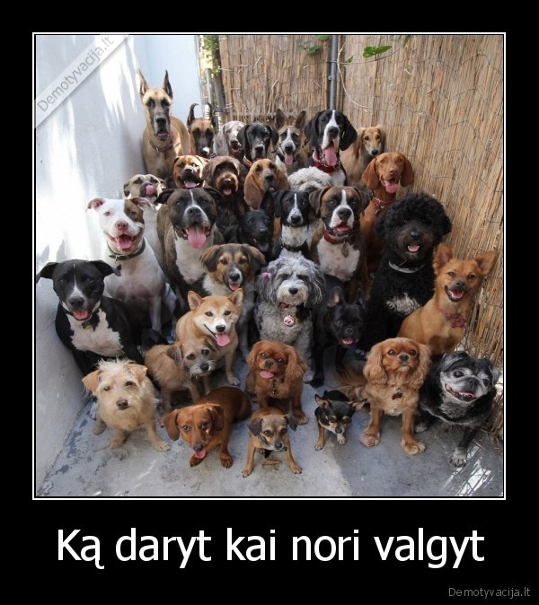 Ką daryt kai nori valgyt