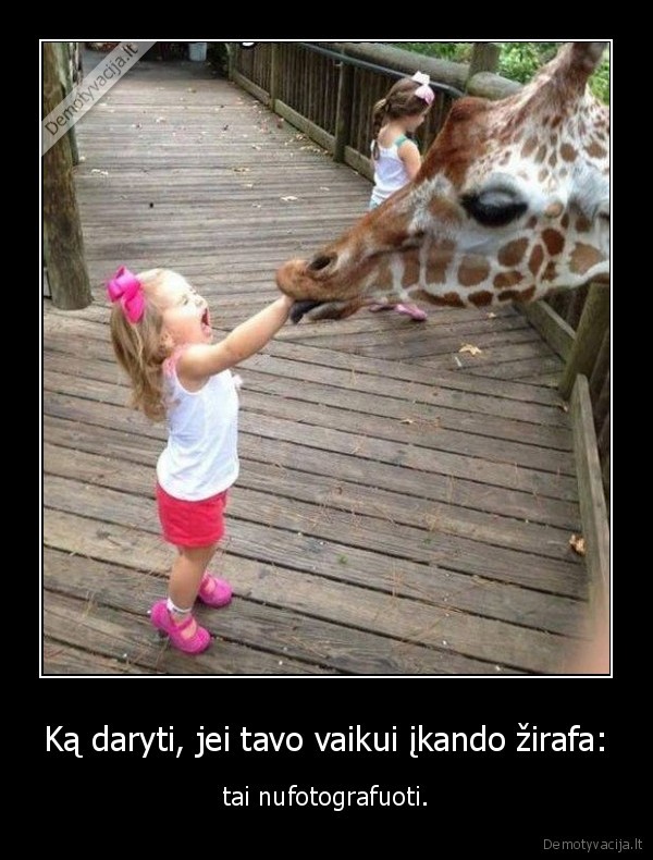 vaikas,zirafa,nuotrauka