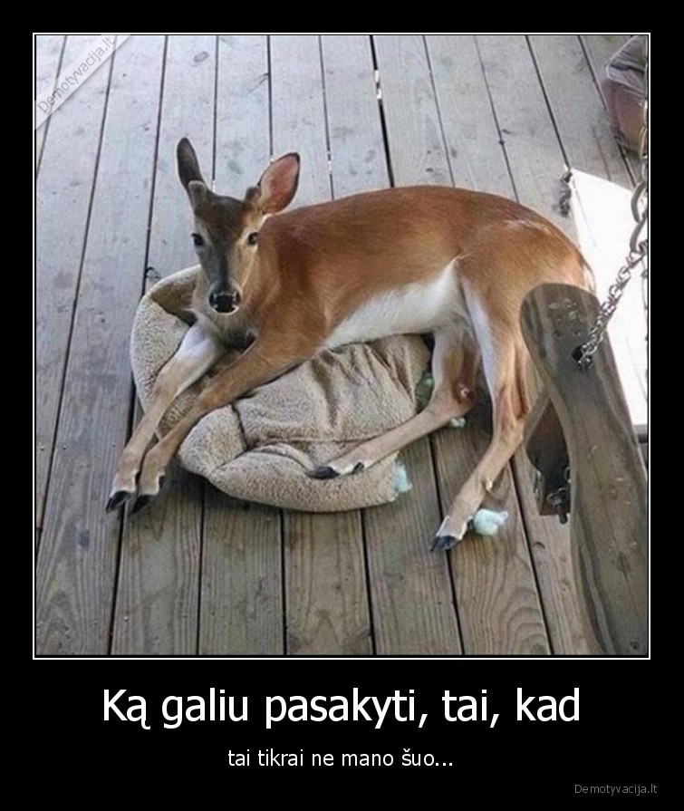 suo,bambi,ne, mano