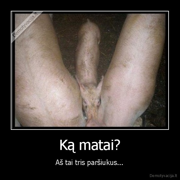 Ką matai?