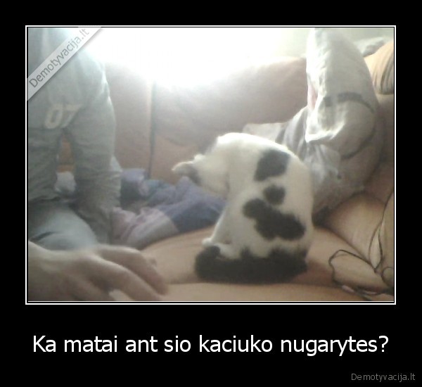 dievo, dovana