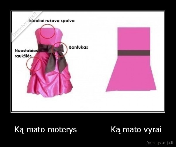 Ką mato moterys             Ką mato vyrai