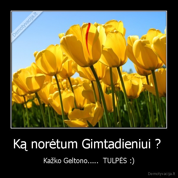 Ką norėtum Gimtadieniui ? 