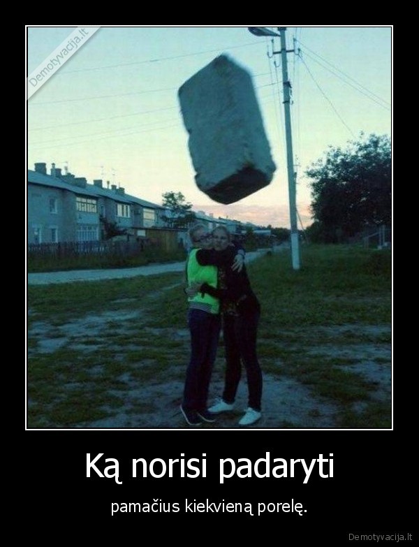 plyta,porele