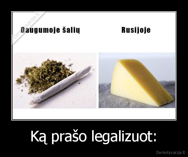 rusija,produktai,draudimas,importas